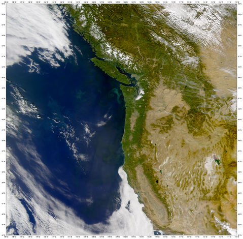 Phytoplankton off the Coast of Washington State Phytoplankton off the Coast of Washington State