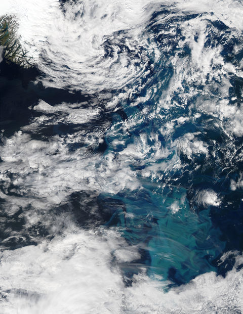 Phytoplankton bloom southeast of Greenland