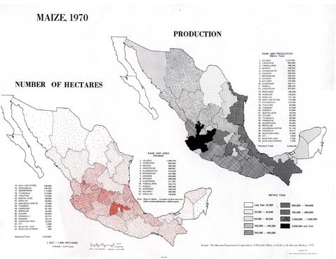 Maize Production in Mexico