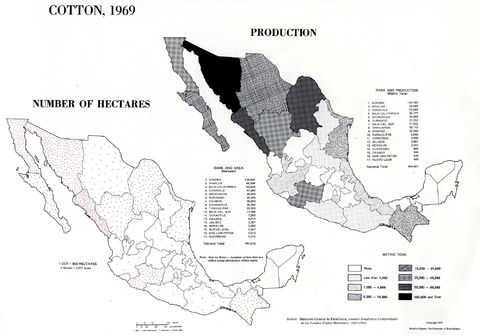 Cotton Production in Mexico