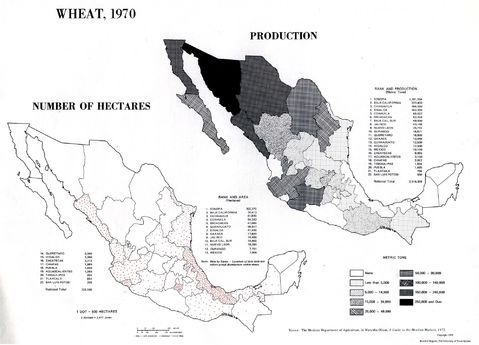 Wheat Production in Mexico