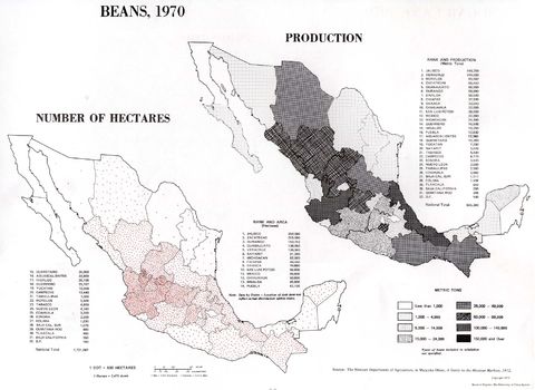 Producción del Frijol en México
