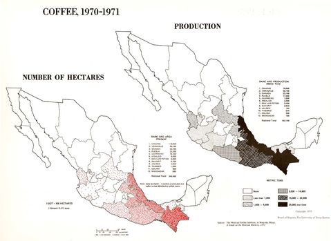 Coffee Production in Mexico