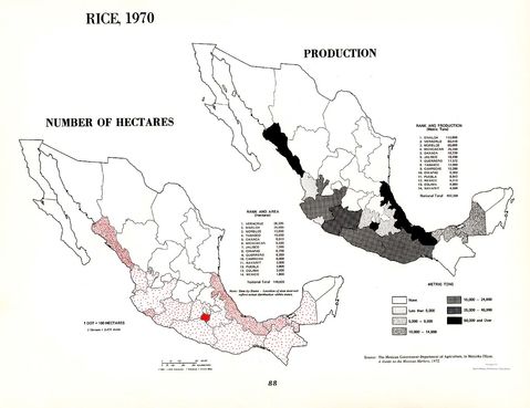 Producción de Arroz en México