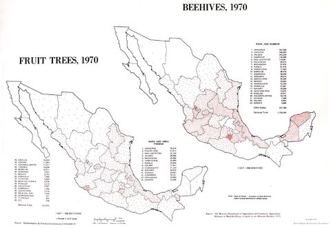 Fruit Trees Production and Bee Hives in Mexico