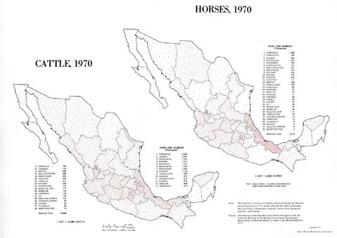 Cattle and Horses in Mexico