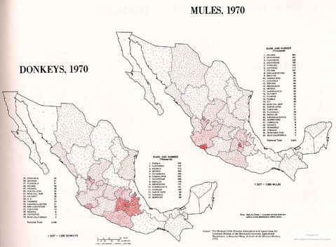 Burros y Mulas en México