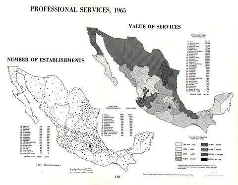 Professional Services in Mexico