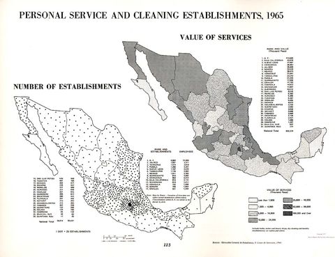 Personal Service and Cleaning Establishments in Mexico