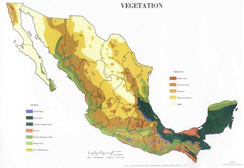 Vegetación de México