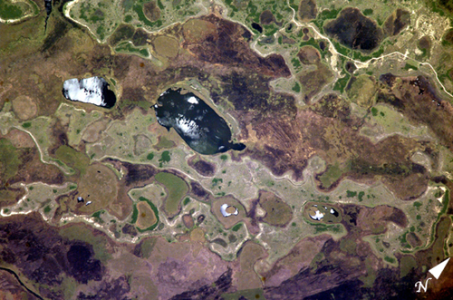 Imagen satelital de los Esteros del Iberá, Argentina
