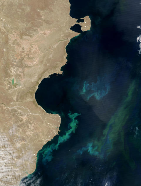 Satellite image of the coast of Argentina