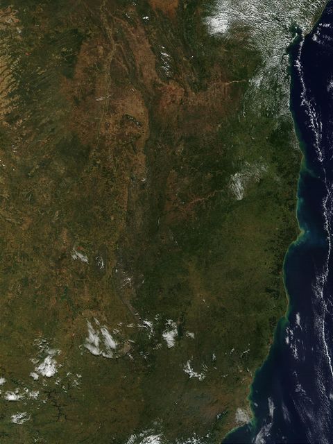Satellite image of the eastern coastline of Brazil