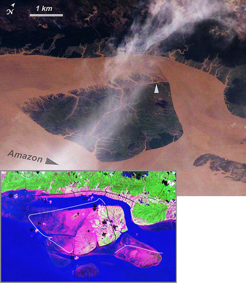 Isla en la desembocadura del río Amazonas