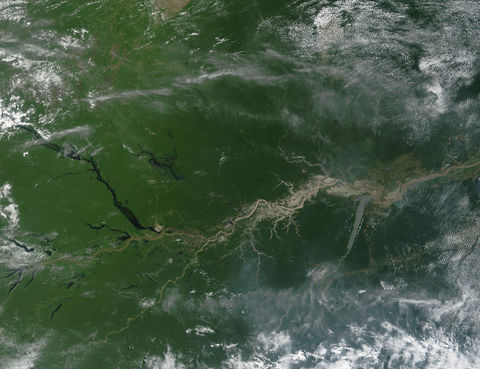Satellite image of the Amazon River