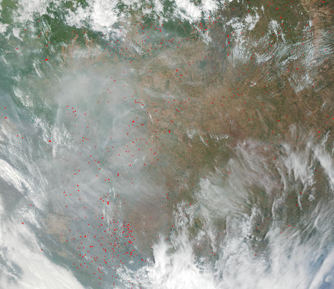 Fires and Deforestation in Brazil Fires and Deforestation in Brazil