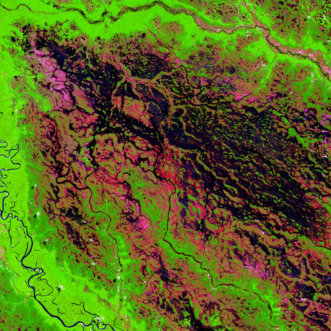 Satellite image of the Demini River