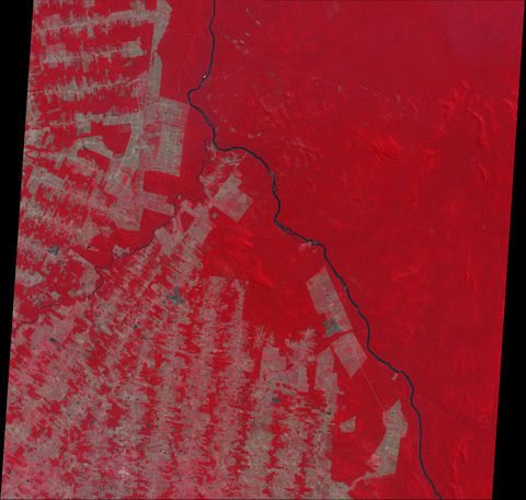 Deforestation in the state of Rondonia, Brazil
