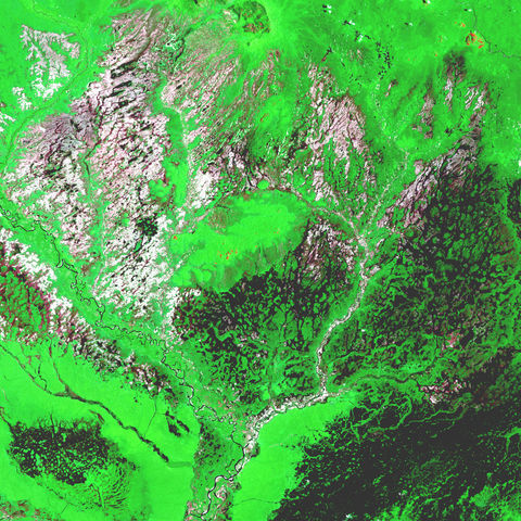 Satellite image of the Araca River