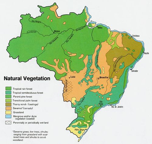 Vegetación Natural de Brasil 