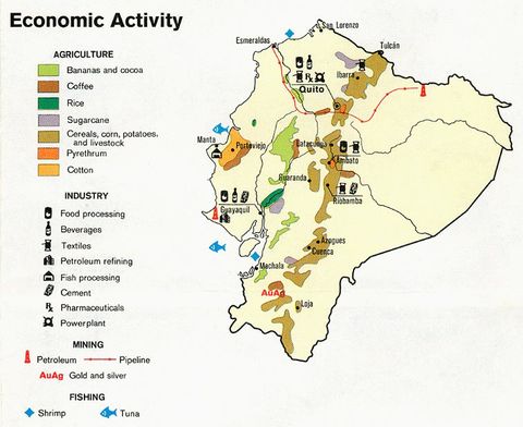 Actividad Económica del Ecuador 