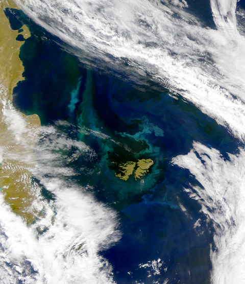 SeaWiFS view of the Falkland Islands