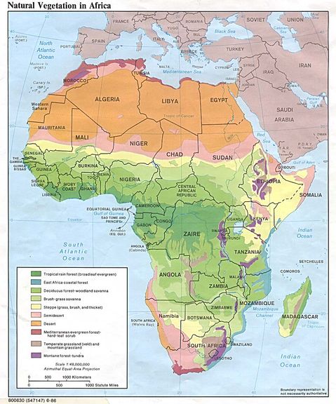 Africa Natural Vegetation 