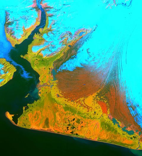 Imagen satelital del glaciar Malaspina en Alaska