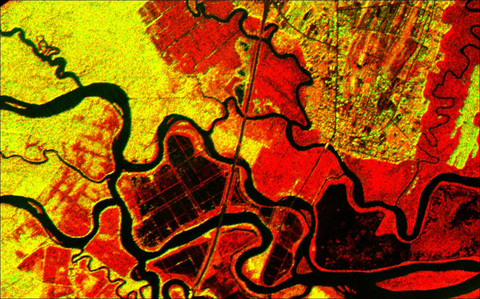 Satellite image of the islands in the Altamaha River delta