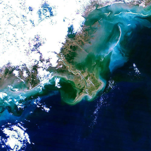 Imagen satelital del Delta del Mississippi