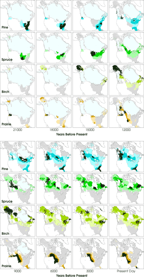 The Migrating Boreal Forest The Migrating Boreal Forest