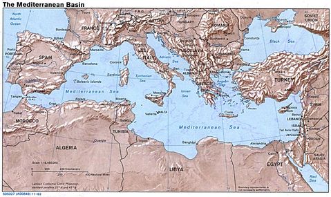 The Mediterranean basin