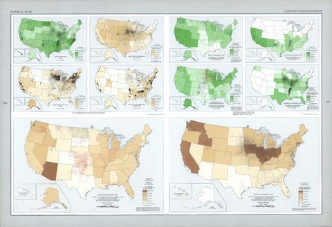 United States Livestock and Field Crops
