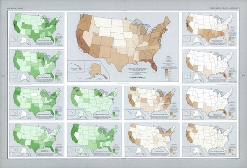 Frutas, Nueces y Verduras en Estados Unidos
