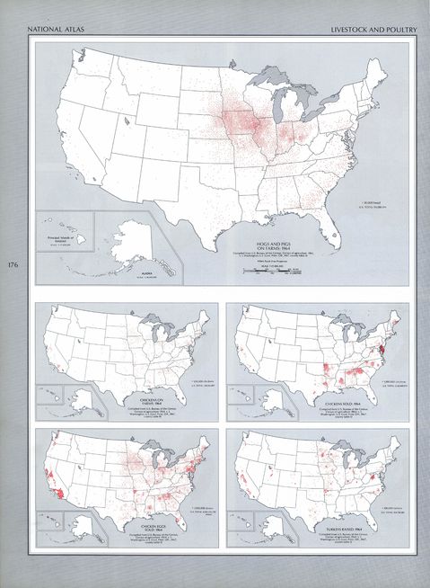 Ganadería y Producción Avícola en Estados Unidos