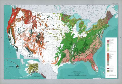 Tipos de Bosques en Estados Unidos 