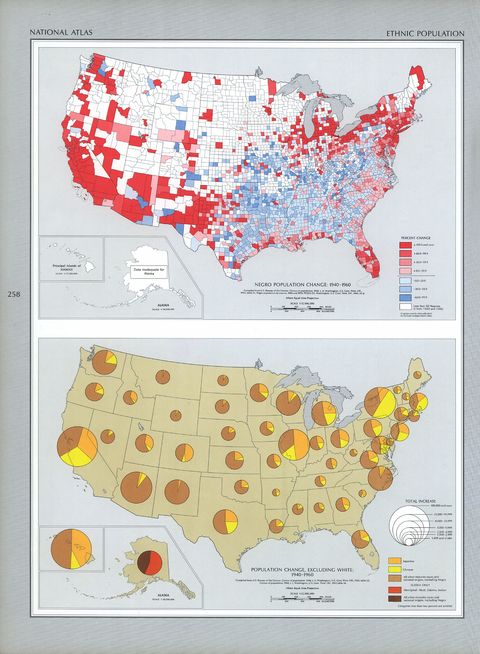 United States Ethnic Population