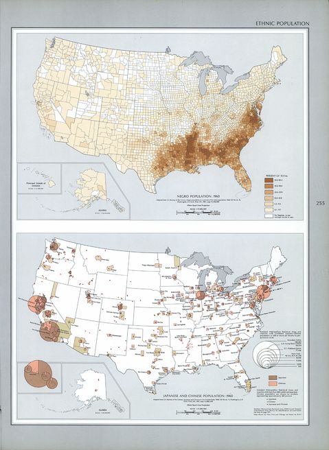 Población Étnica en Estados Unidos