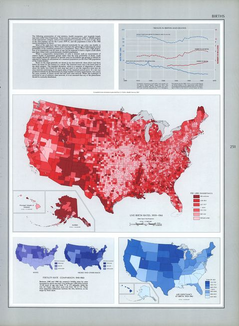 United States Births