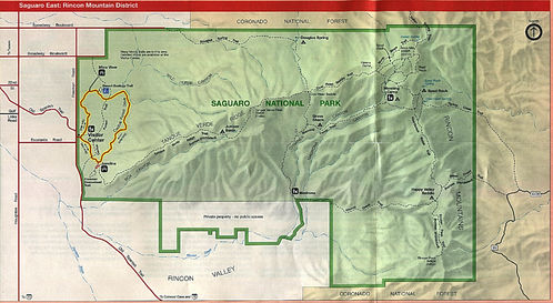 Este del Parque Nacional Saguaro