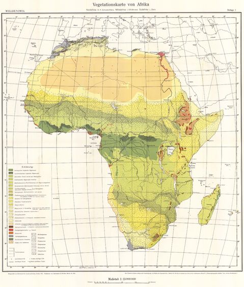 Vegetation map of Africa 