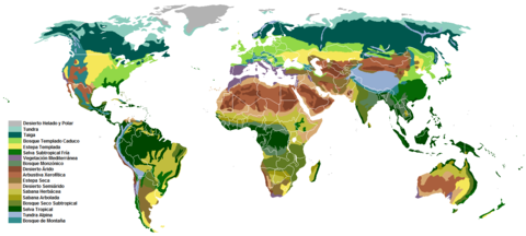 World biomes map
