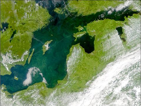 Phytoplankton bloom in the Baltic Sea 