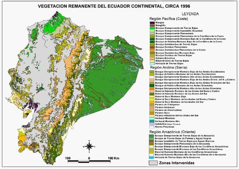 Remnant vegetation of mainland Ecuador