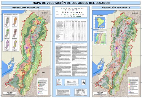 Vegetación de los Andes del Ecuador 