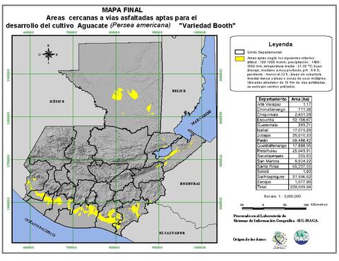 Áreas aptas para el cultivo de Aguacate 