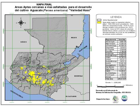 Areas suitable for growing avocado 