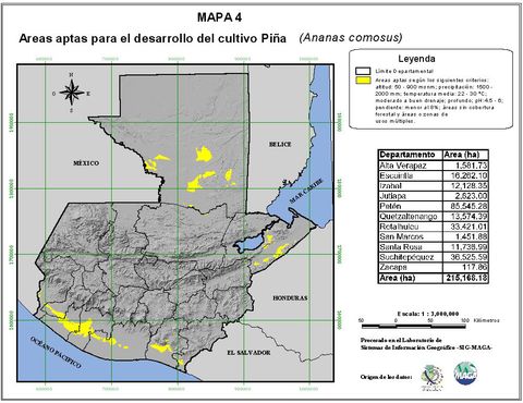 Areas suitable for growing Pineapple in Guatemala