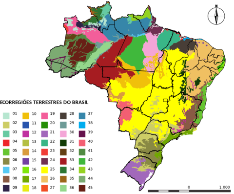 Vegetation of Brazil