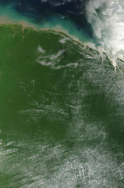 Mapas, Mapa Satelital, Foto, Imagen Satelite de la Guayana Francesa (Francia)